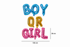 folieletterballonnen met ‘BOY’ in blauw, ‘OR’ in goud en ‘GIRL’ in roze.