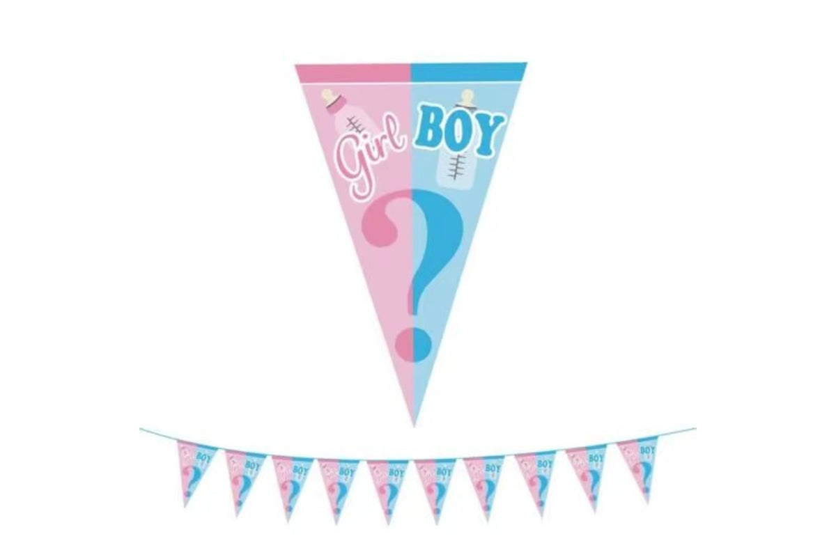 Roze en blauwe vlaggetjesslinger met ‘Girl Boy’, vraagtekens en babyflesjes, inclusief detail van één vlaggetje.